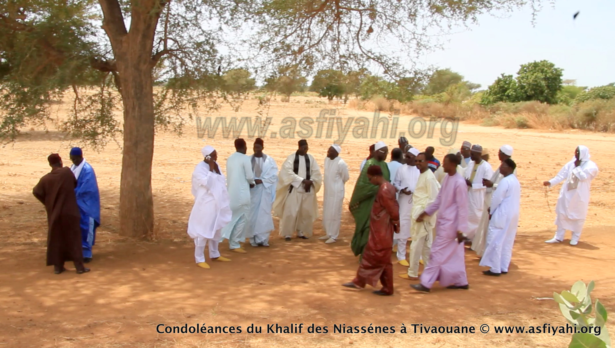 PHOTOS - TIVAOUANE - Les Images de la présentation de Condoléances du khalif de Médina Baye, Cheikh Ahmad Tidiane Niasse 