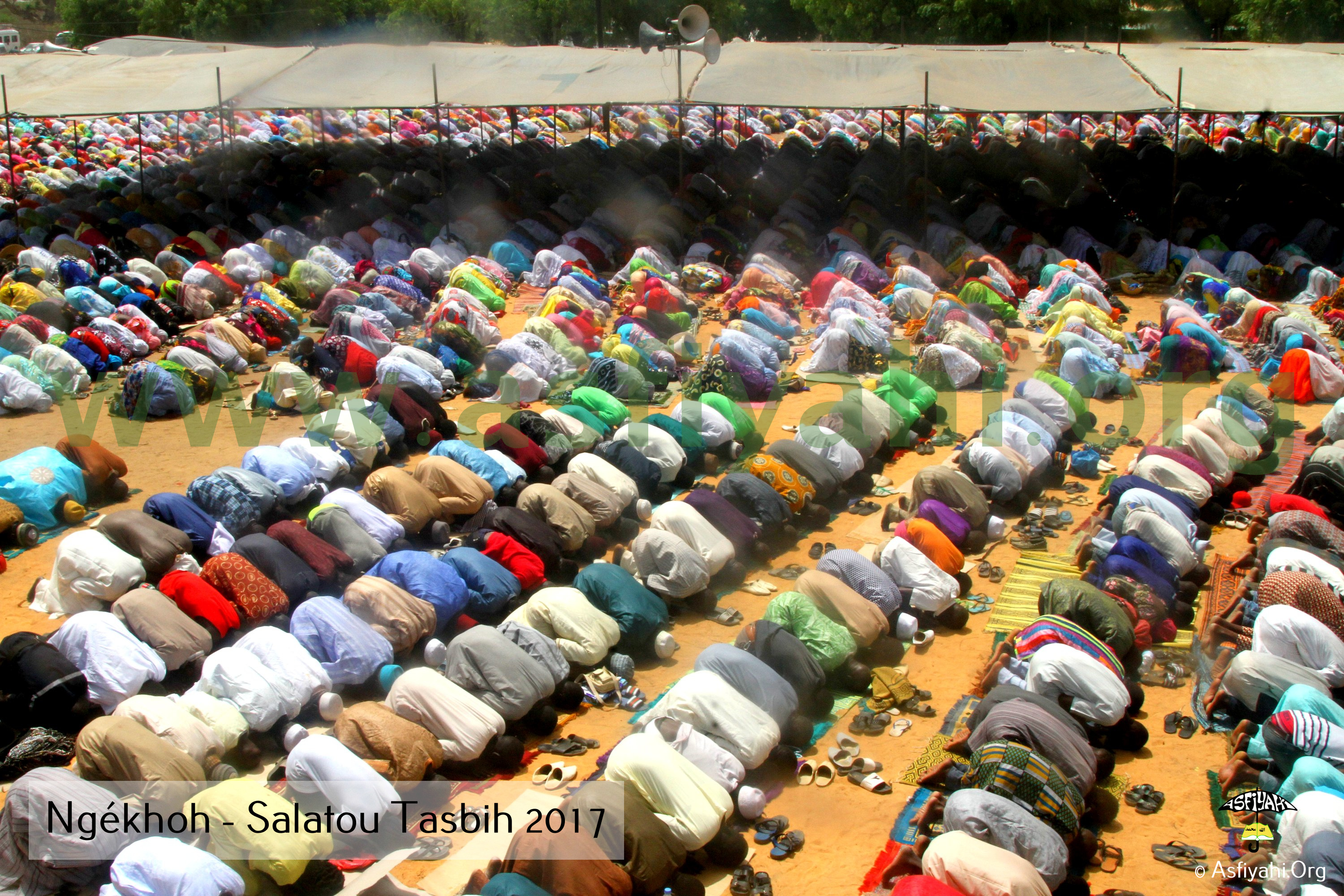 PHOTOS - NGÉKHOKH - Les Images de la Salatou Tasbih 2017 organisée par la famille d'El Hadj Elimane Sakho (rta)