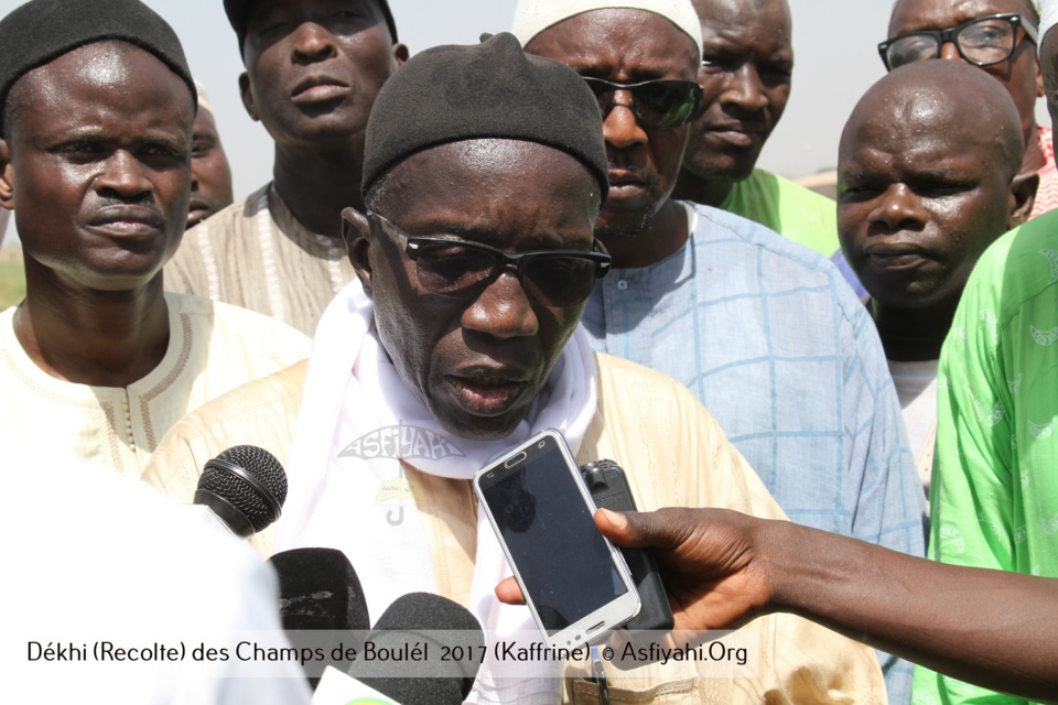 PHOTOS - Regardez les Images de la Récolte 2017 des Champs de Boulél (Kaffrine), cultivés par Serigne Abdoul Aziz SY Al Amine