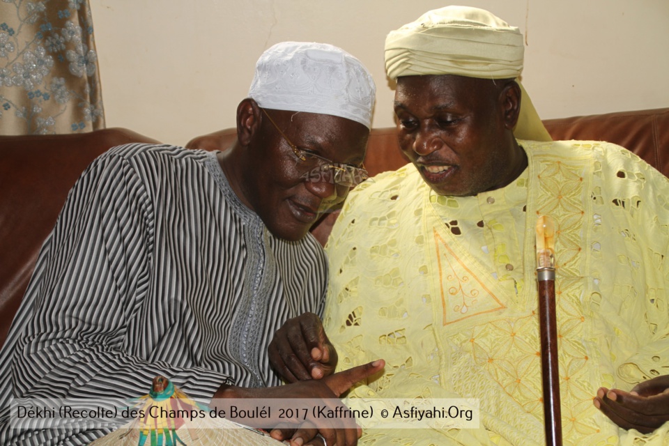 PHOTOS - Regardez les Images de la Récolte 2017 des Champs de Boulél (Kaffrine), cultivés par Serigne Abdoul Aziz SY Al Amine