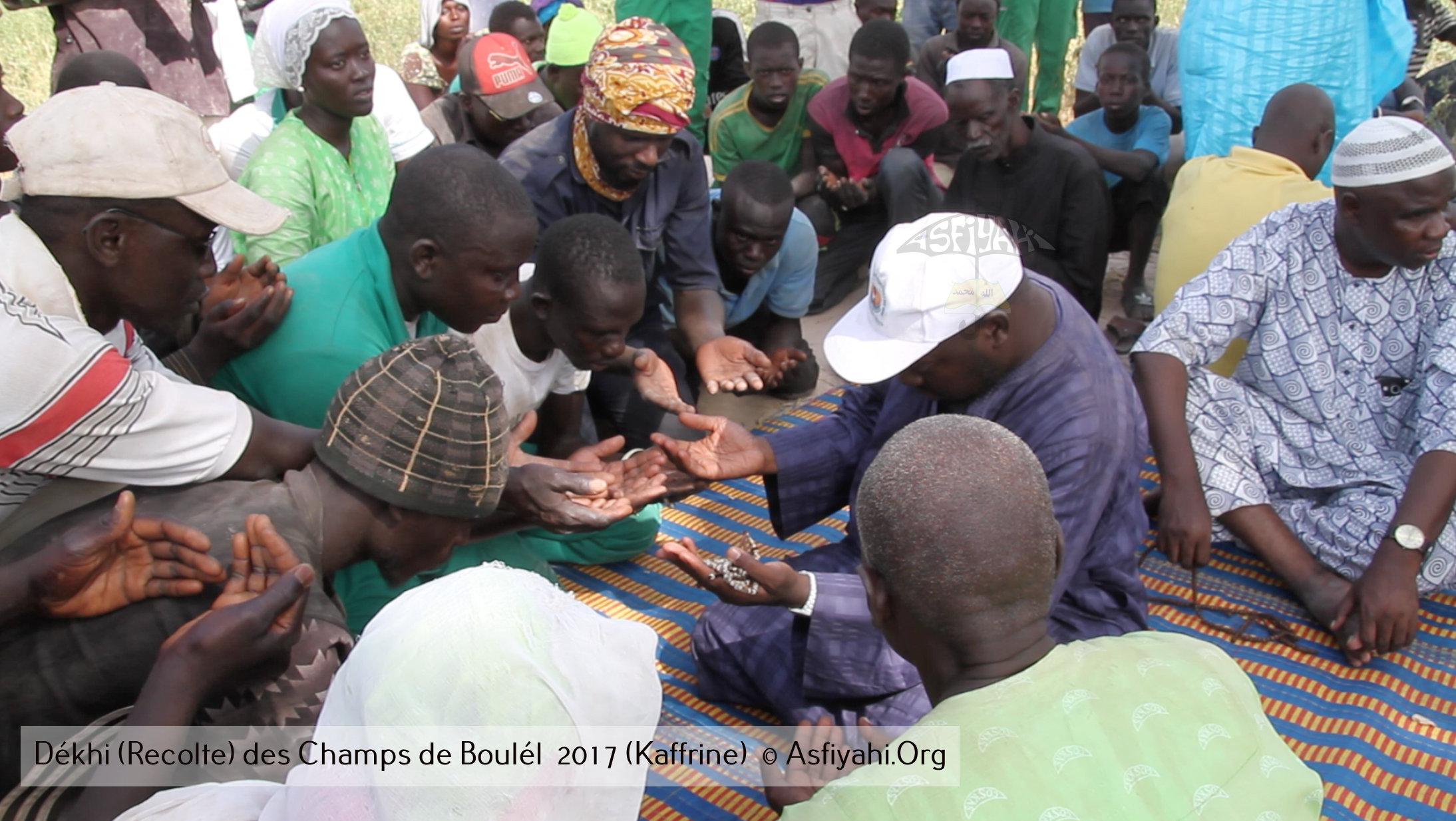 PHOTOS - Regardez les Images de la Récolte 2017 des Champs de Boulél (Kaffrine), cultivés par Serigne Abdoul Aziz SY Al Amine