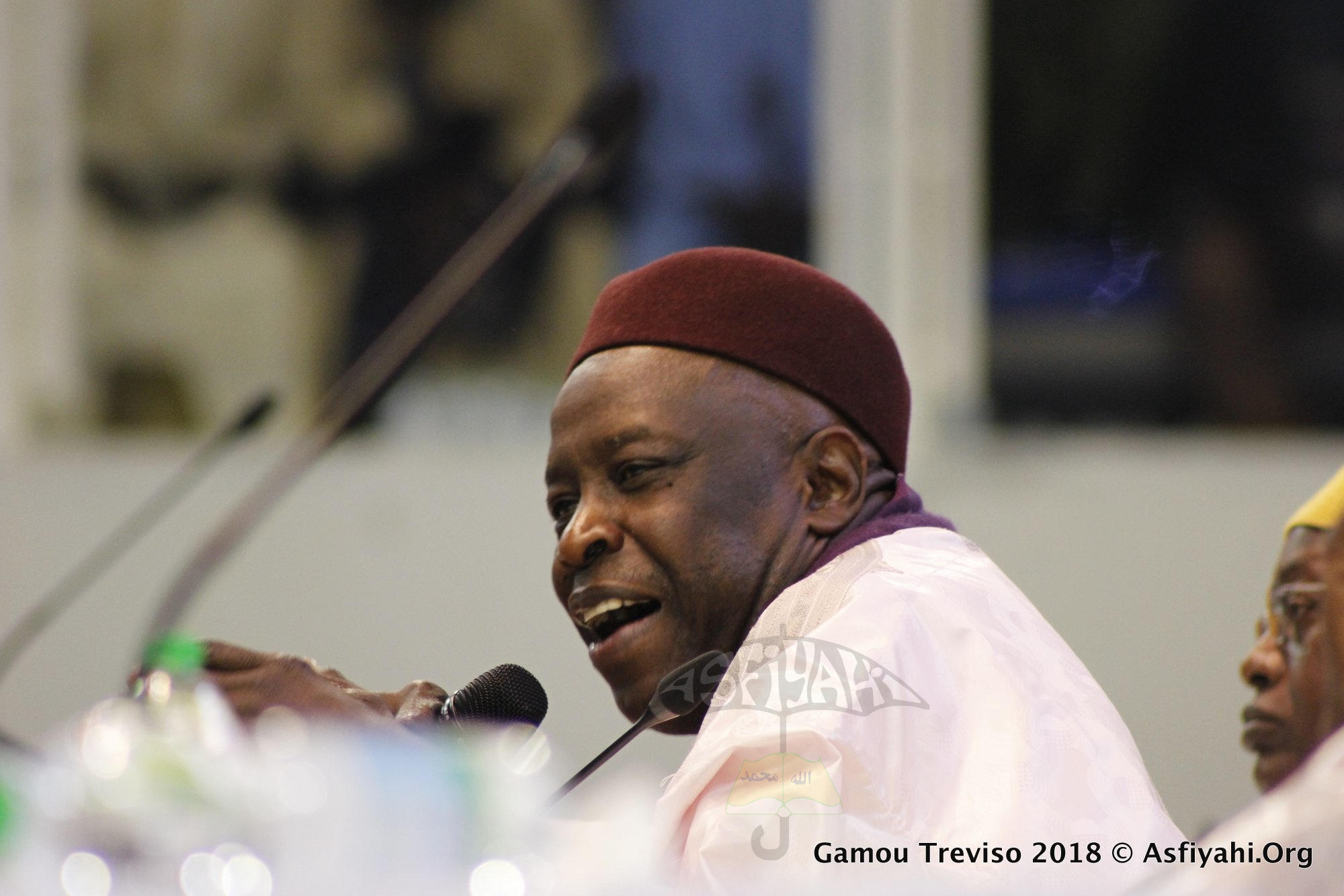 PHOTOS - ITALIE - Les Images du Gamou de Treviso 2018, en hommage à Serigne Babacar Sy (rta)