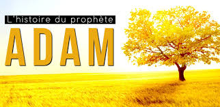 histoires des prophètes: histoire du prophète Adam / part 01