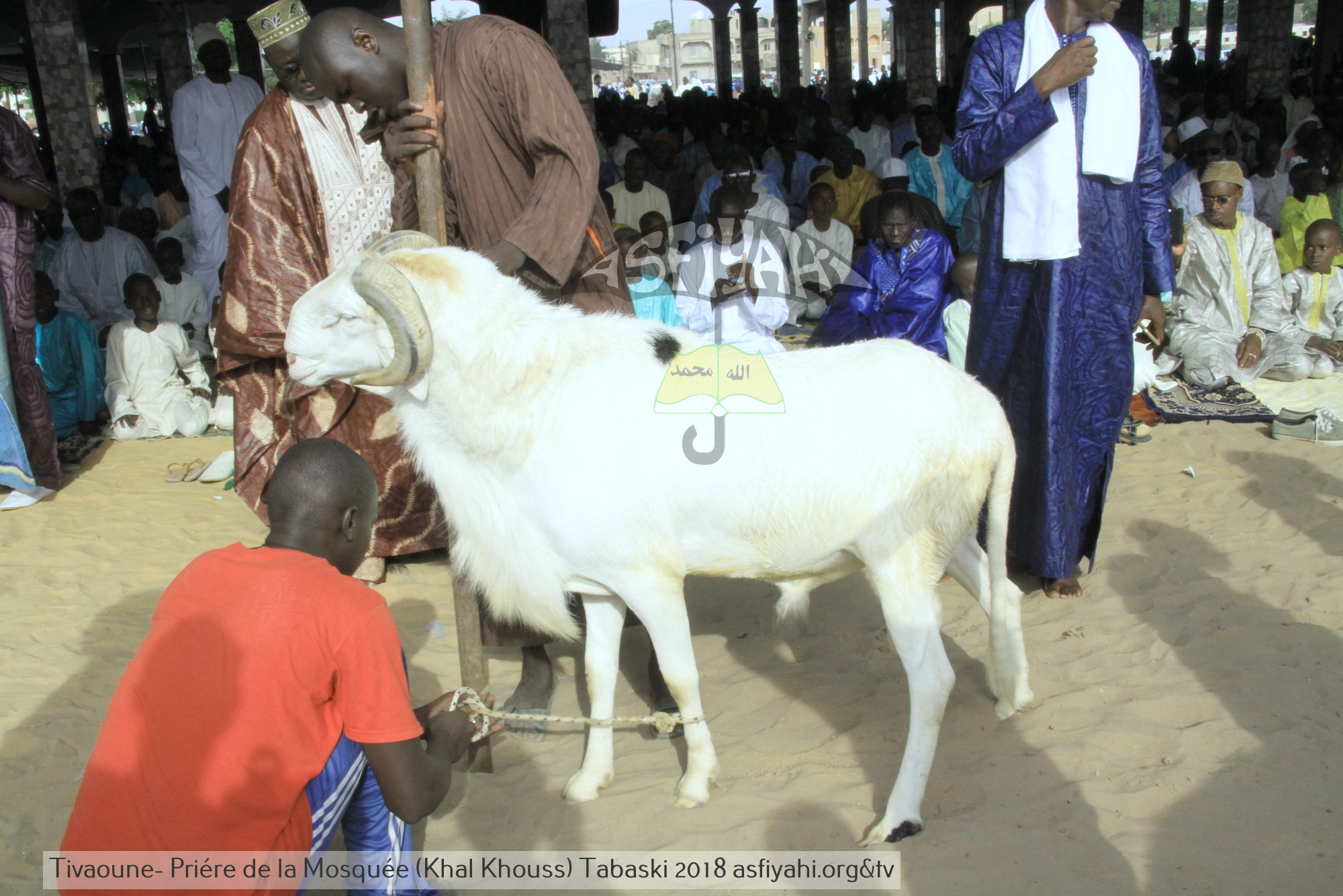 PHOTOS - TABASKI 2018 - Les Images de la Priere à la Mosquée de Khalkhouss en presence du Khalif General des Tidianes Serigne Mbaye SY Mansour