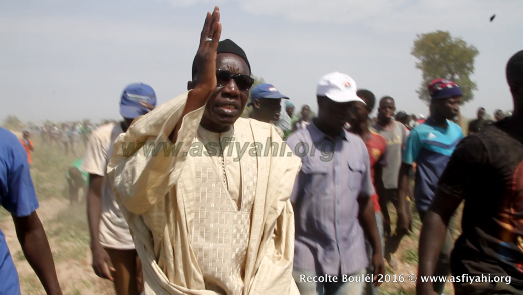 COMMUNIQUE DE SERIGNE CHEIKH TIDIANE SY MANSOUR : Désherbage (Routhie) des Champs de Diamaguene, ce Dimanche 22 Avril 2018 à 8H