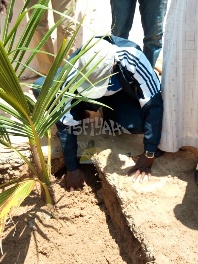 PHOTOS - Campagne de Reboisement 2020 - Plantation d’arbres dans la Ville de Tivaouane.