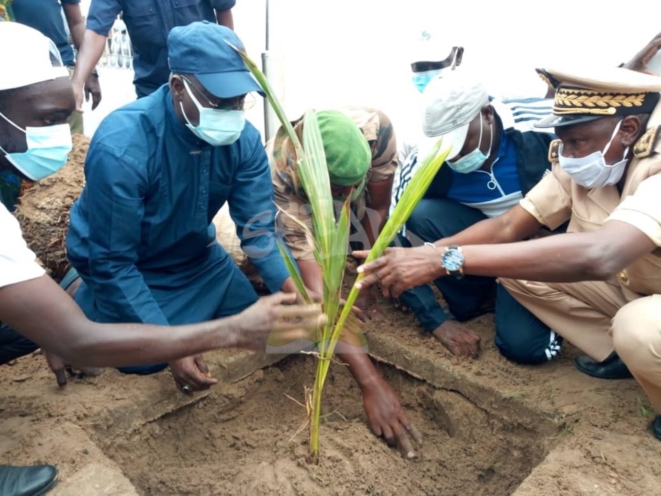 PHOTOS - Campagne de Reboisement 2020 - Plantation d’arbres dans la Ville de Tivaouane.