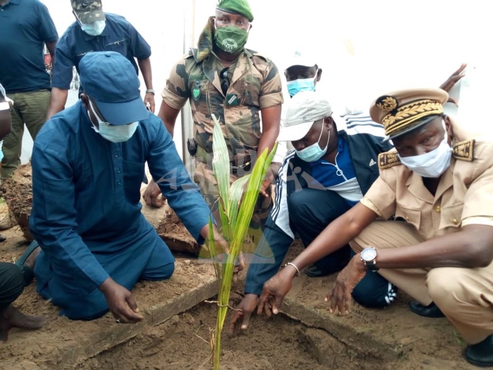 PHOTOS - Campagne de Reboisement 2020 - Plantation d’arbres dans la Ville de Tivaouane.