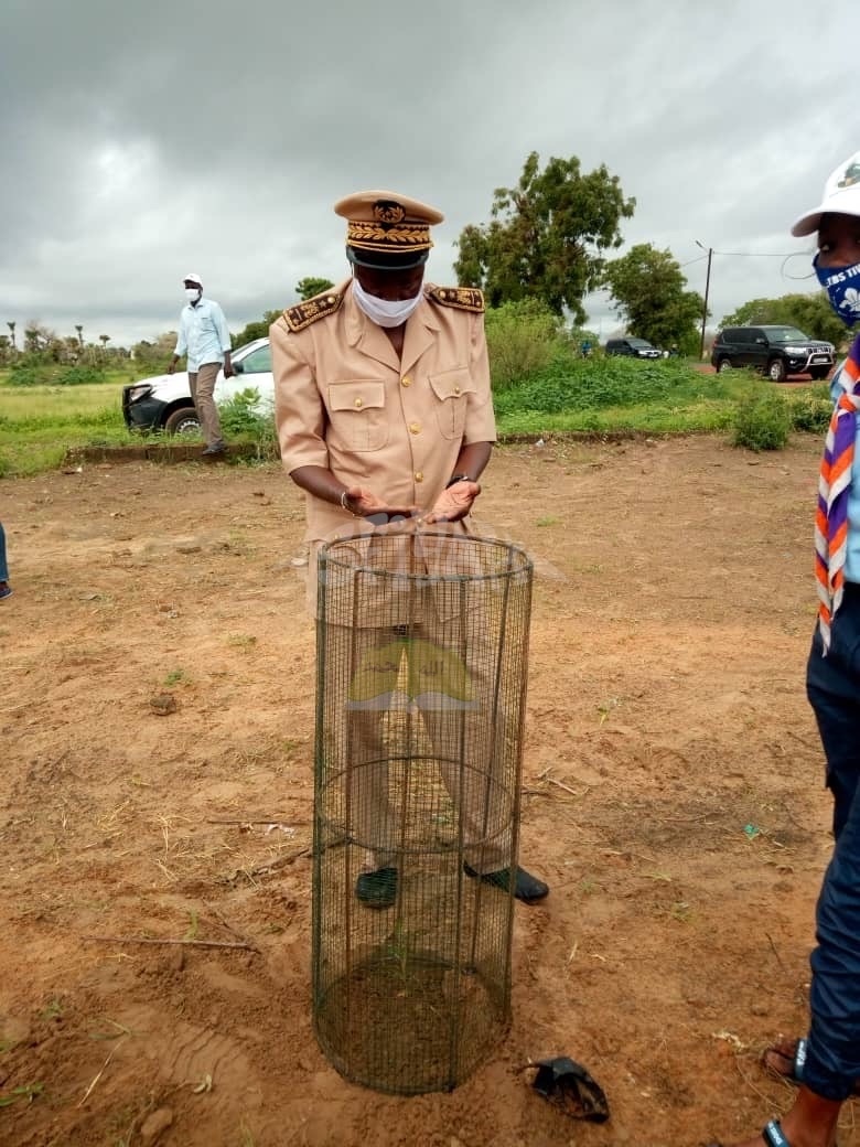 PHOTOS - Campagne de Reboisement 2020 - Plantation d’arbres dans la Ville de Tivaouane.