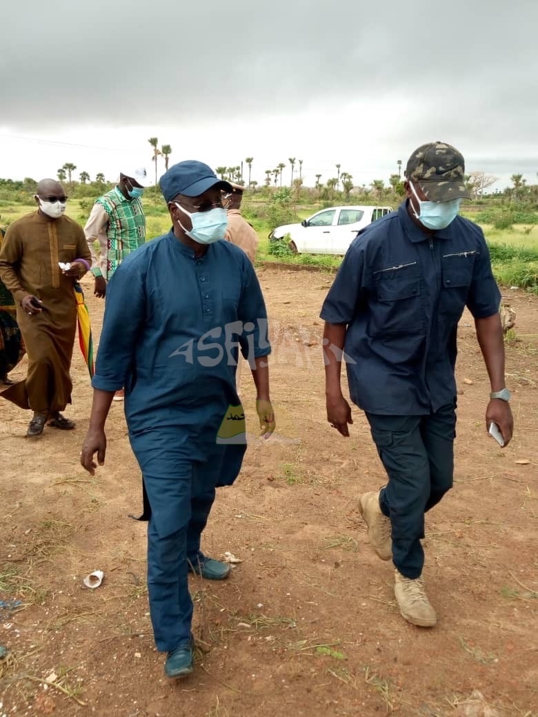 PHOTOS - Campagne de Reboisement 2020 - Plantation d’arbres dans la Ville de Tivaouane.
