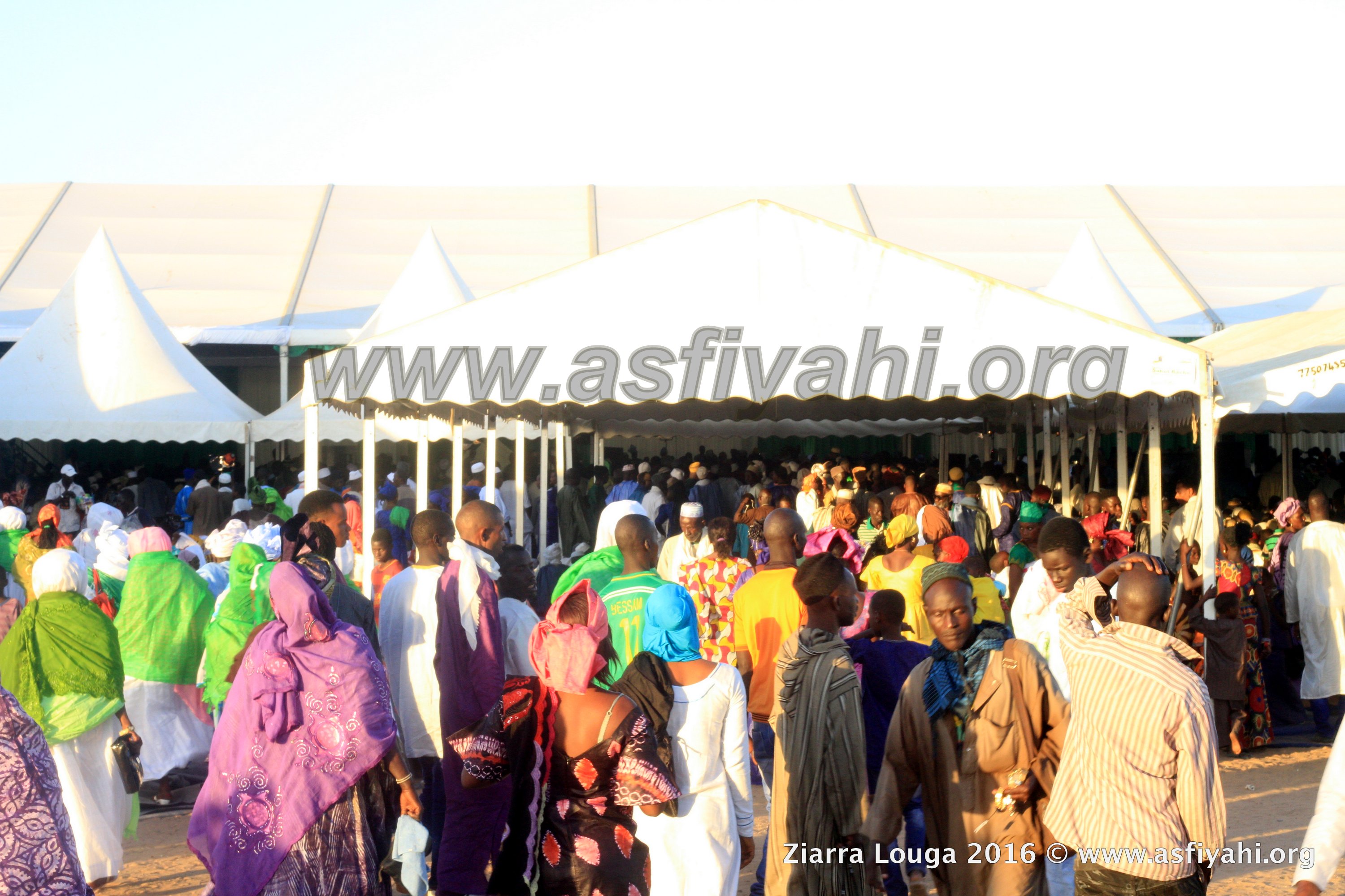 PHOTOS - ZIARRA LOUGA 2016 - Les Temps-forts de la Ceremonie Officielle de la Ziarra Thierno Mountaga Daha Tall