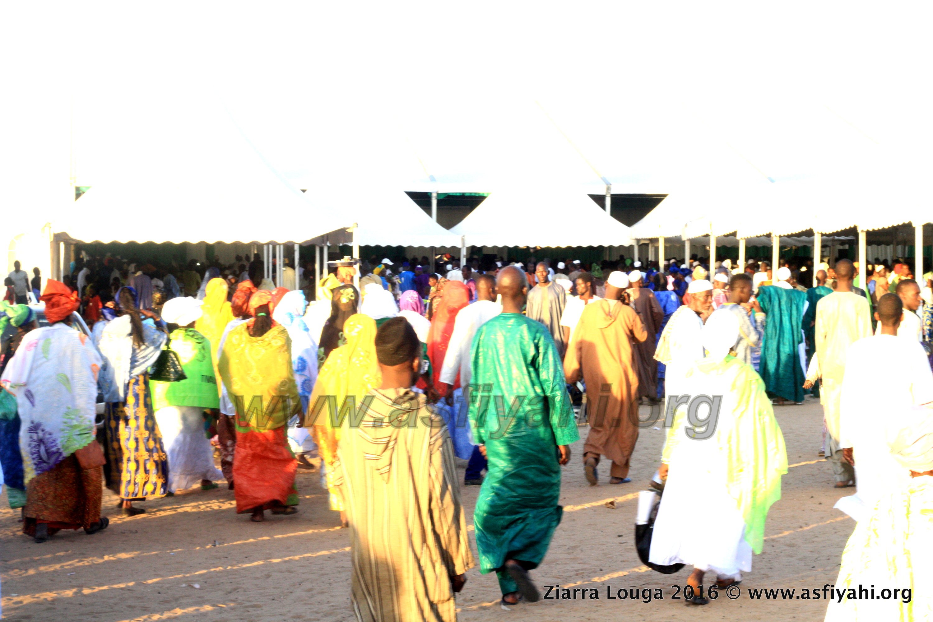 PHOTOS - ZIARRA LOUGA 2016 - Les Temps-forts de la Ceremonie Officielle de la Ziarra Thierno Mountaga Daha Tall