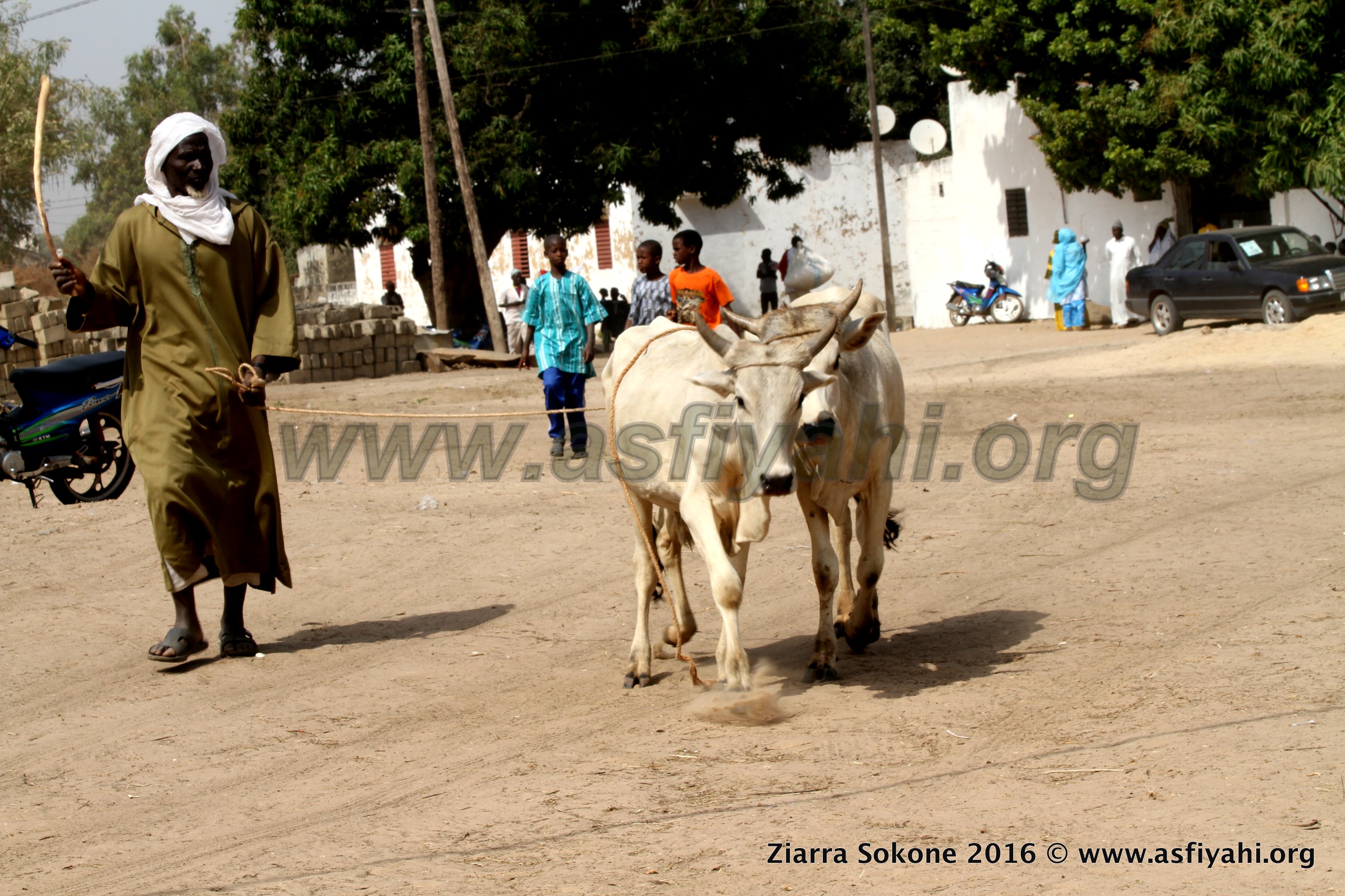 PHOTOS - SOKONE - Découvrez les Images de la Ziarra Sokone 2016, Nuit du Gamou , Cérémonie Officielle et quelques temps forts