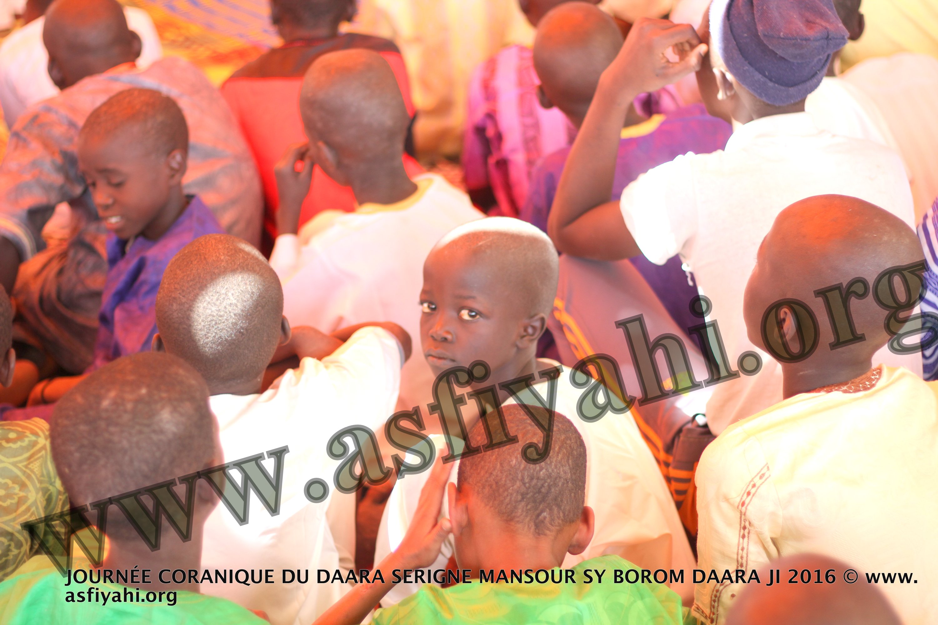 PHOTOS - TIVAOUANE - Les images de la journée du Saint Coran organisée au Daara Serigne Mansour Sy dirigée par Serigne Maodo Sow 