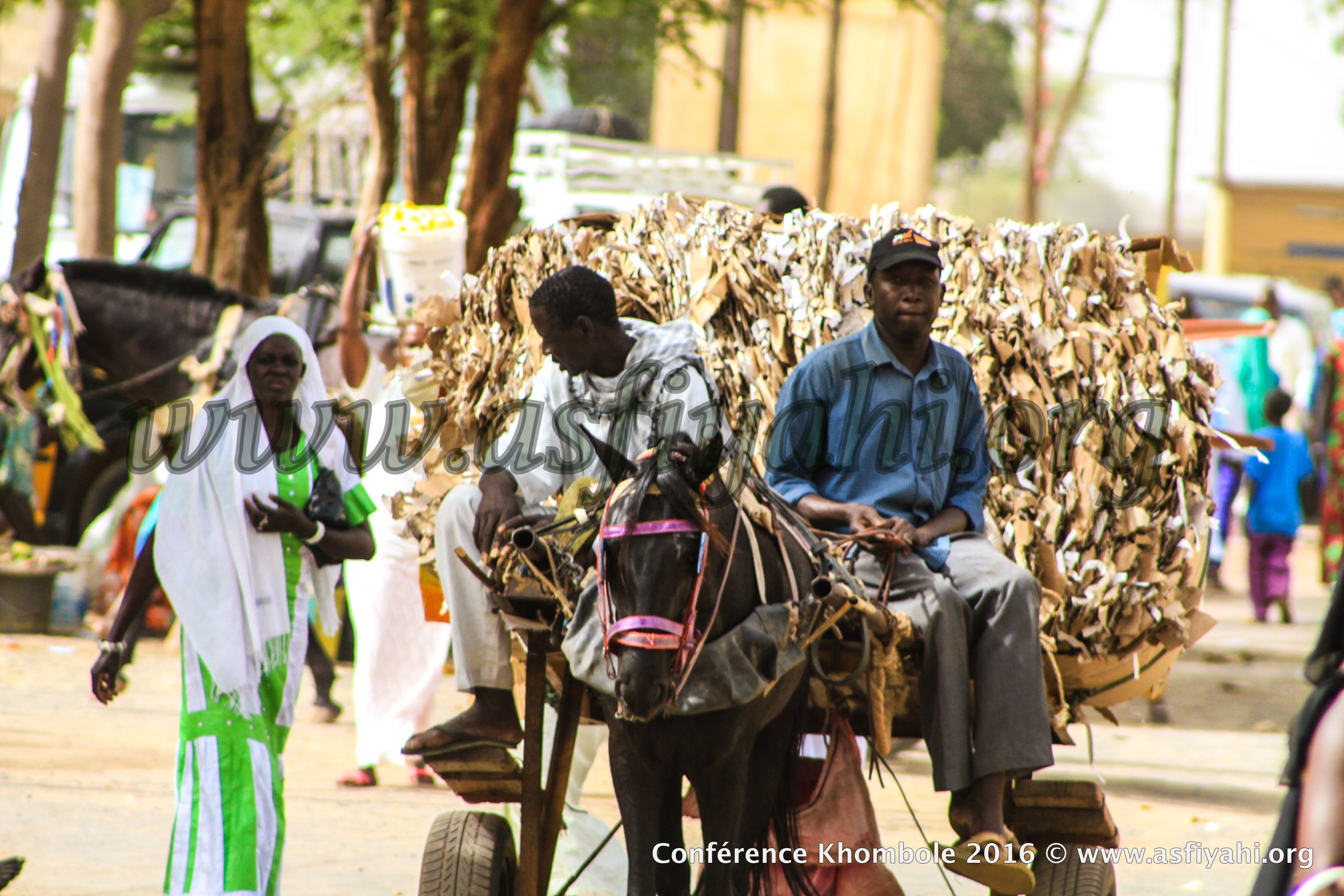 PHOTOS - 23 AVRIL 2016 À KHOMBOLE: Les Images de la Conférence des Dahiras Takhi Wa Tahawouni de Serigne Mame Malick Sy Mansour