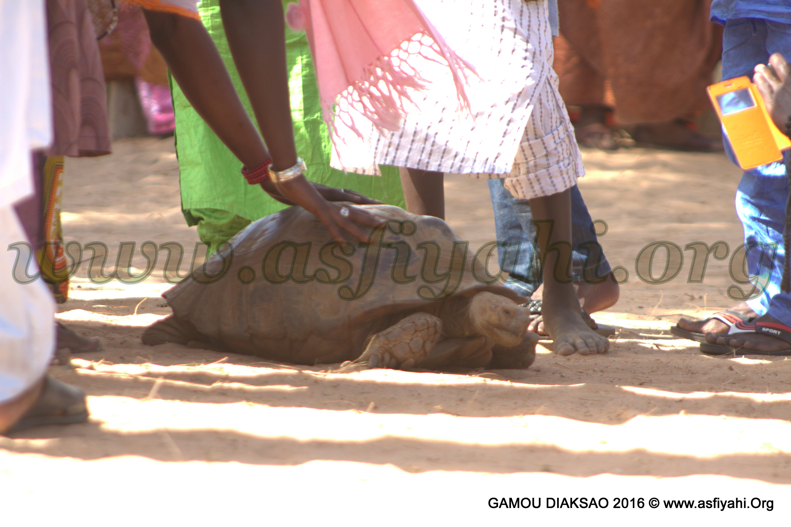 PHOTOS - 30 AVRIL 2016 À DIACKSAO - Les Temps-Forts et Images de la Cérémonie Officielle du Gamou de Diacksao 2016
