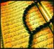 Les statuts légaux en Islam