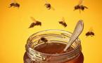 LES EFFETS BENEFIQUES DU MIEL SUR LA SANTE