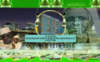 Inauguration Zawiya de New York ce Vendredi 12 Octobre 2018: L’appel de la Jeunesse