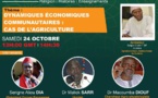 WEBINAIRES GAMOU 2020 - Théme 2 : DYNAMIQUES ÉCONOMIQUES COMMUNAUTAIRES: LE CAS DE L’AGRICULTURE