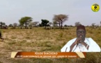 DÉKHI TOLOU DIACKSAO - Recolte des champs d’El Hadj Malick Sy (Rta), ce Dimanche 31 Octobre 2021.