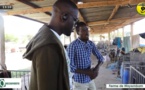 MAGAZINE: A la découverte de la Ferme Wayembam (Bambilor) 16 Janvier 2022 invité: Babacar Badiane
