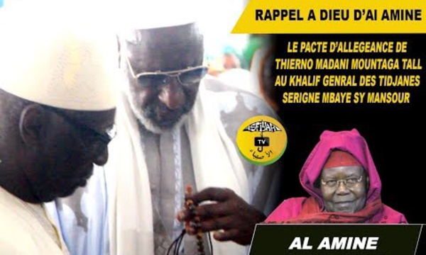 VIDEO - Le pacte d’allégeance de la famille de Thierno Mountaga Tall à Serigne Mbaye Sy Mansour