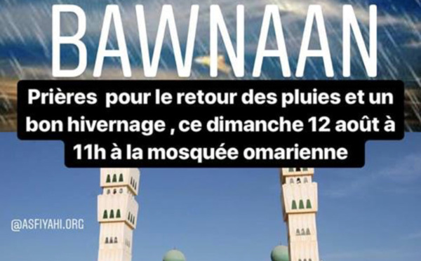 BAWNAAN - PRIÈRES POUR LE RETOUR DES PLUIES ET UN BON HIVERNAGE , CE DIMANCHE 12 AOÛT À 10H À LA MOSQUÉE OMARIENNE DE DAKAR