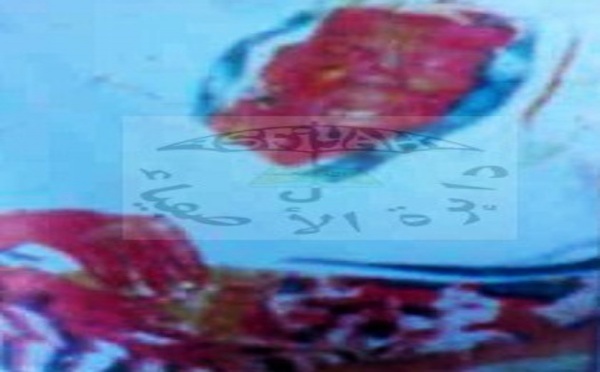 GAMOU SOKHNA ROKHAYA MALICK SY, ce Vendredi 3 Mai 2019  à Tivaouane