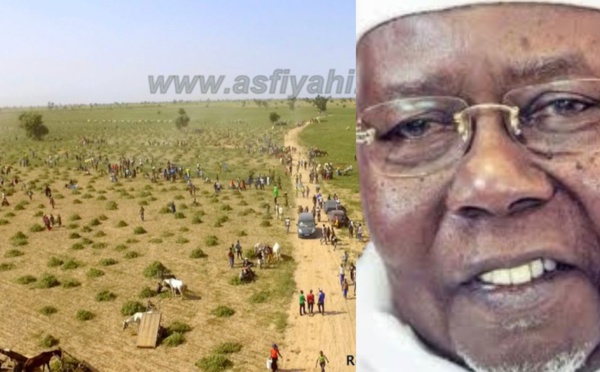 DÉKHI TOLOU BOULEL - Recolte des champs de Boulel (Médina Sy), ce Dimanche 7 Novembre 2021.