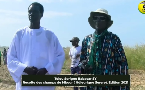 Reportage - Mbour : Dékhi Tolou Sérigne Babacar Sy de Ngérigne