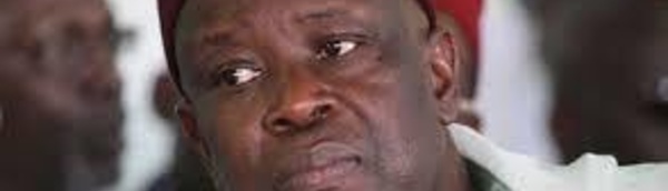 Fin d'année à Stuttgart : la communauté sénégalo-allemande réunit autour de Serigne Mansour Sy Djamil