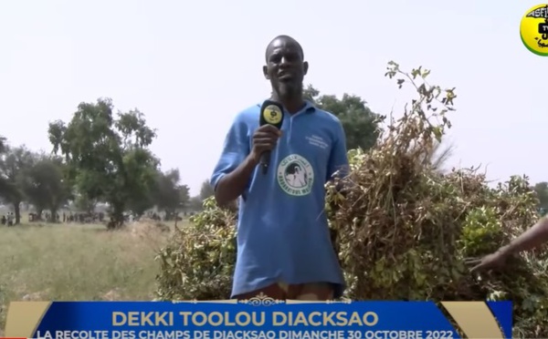DEKKI TOOLOU DIACKSAO - La Récolte des Champs de Diacksao 2022
