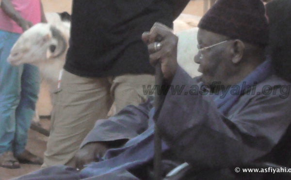 PHOTOS - "KHAROU TIVAOUANE" - Les Images de la traditionnelle ceremonie annuelle de distribution de Moutons 