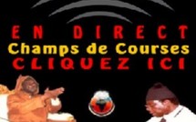 GAMOU CHAMPS DE COURSES