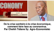 De la crise sanitaire à la crise économique, Comment faire face au coronavirus (Par Serigne Cheikh Tidiane Sy Al Amine, Agro-Economiste)